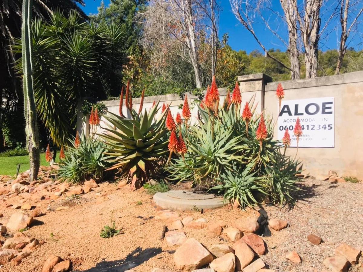 Aloe Guesthouse Klerksdorp Exteriér fotografie
