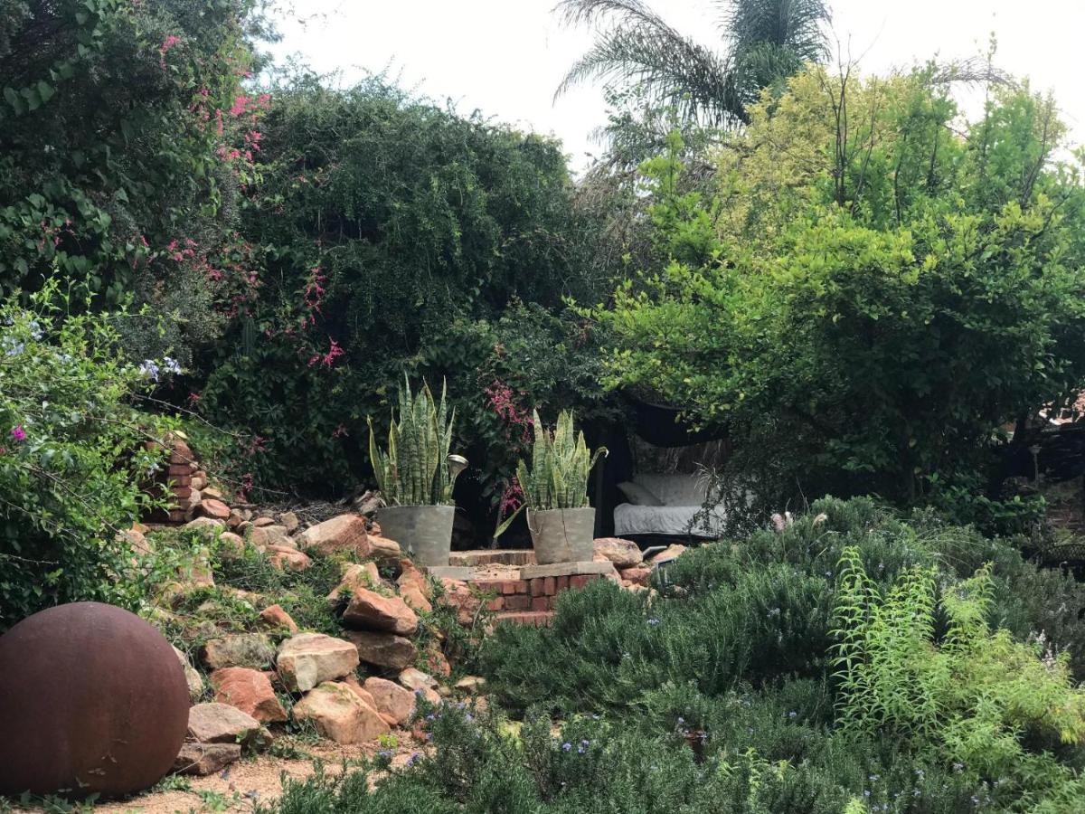 Aloe Guesthouse Klerksdorp Exteriér fotografie