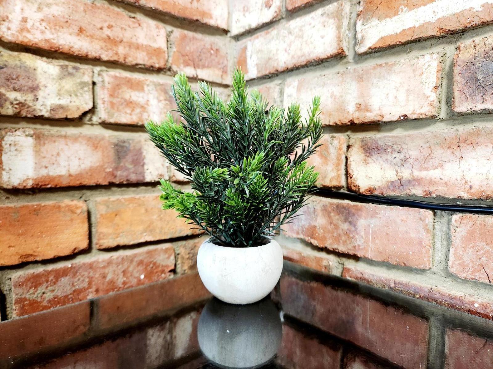 Aloe Guesthouse Klerksdorp Pokoj fotografie