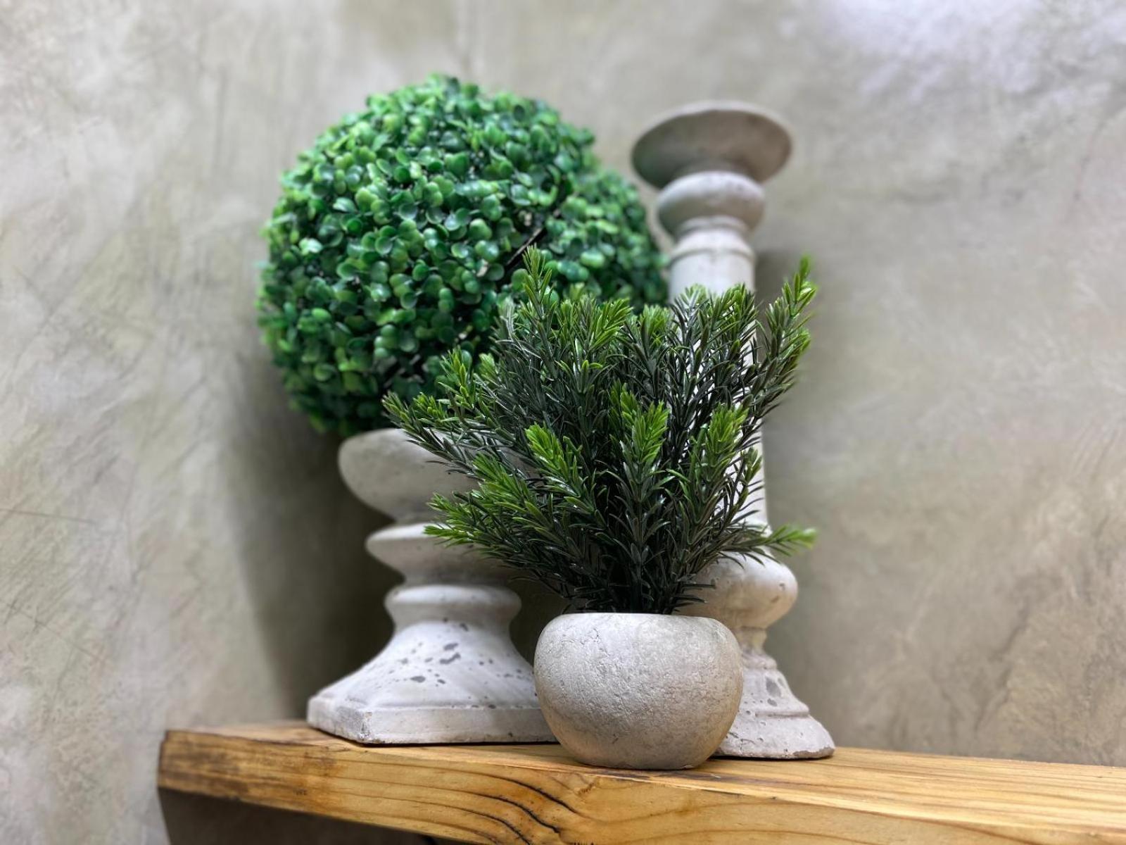 Aloe Guesthouse Klerksdorp Pokoj fotografie